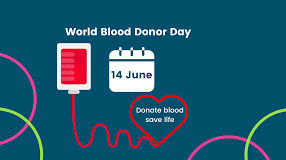 The Lifesaving Power of Blood Donation Why Regular Donations Matter